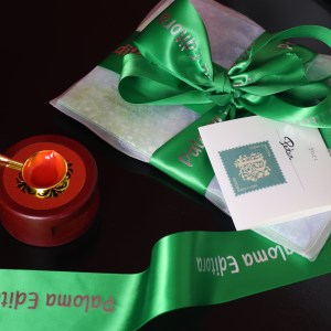 No Reino Gelado das Auroras – Versão em Inglês